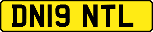 DN19NTL