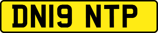 DN19NTP