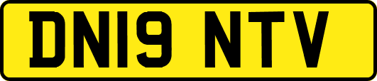 DN19NTV