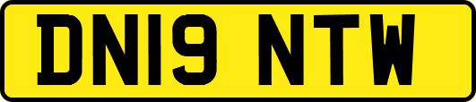 DN19NTW