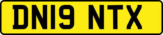 DN19NTX
