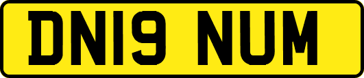 DN19NUM