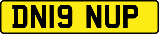 DN19NUP