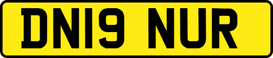 DN19NUR
