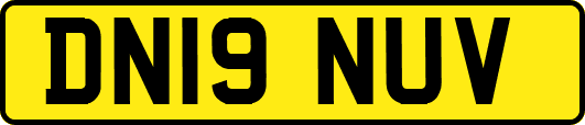 DN19NUV