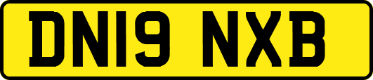 DN19NXB