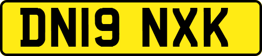 DN19NXK