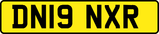 DN19NXR