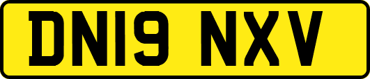 DN19NXV