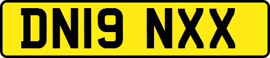 DN19NXX