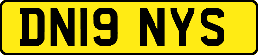 DN19NYS