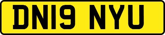 DN19NYU