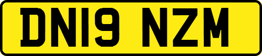 DN19NZM