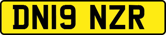 DN19NZR
