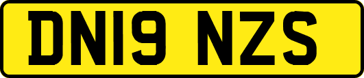 DN19NZS