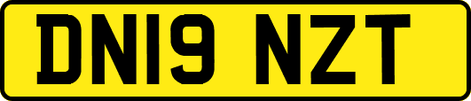 DN19NZT
