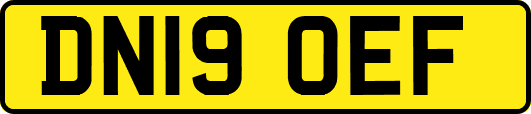DN19OEF