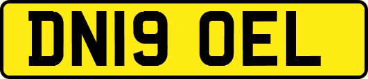 DN19OEL
