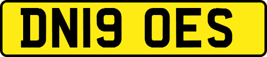 DN19OES