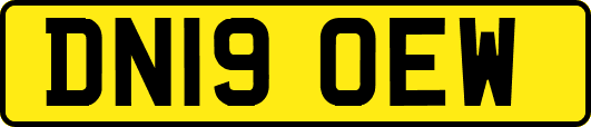 DN19OEW