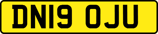 DN19OJU