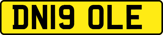 DN19OLE