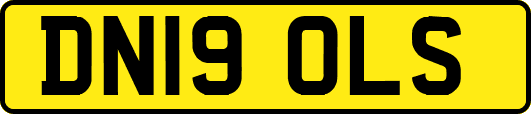 DN19OLS