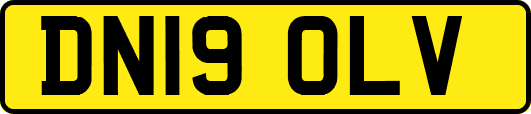 DN19OLV
