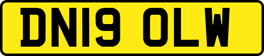 DN19OLW