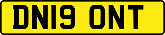 DN19ONT