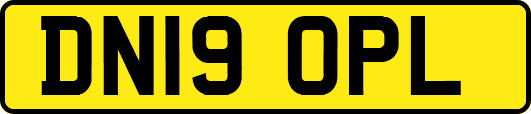 DN19OPL