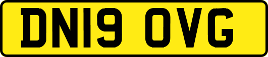 DN19OVG