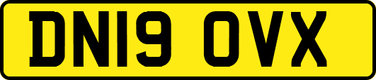 DN19OVX