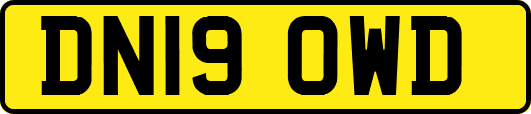 DN19OWD