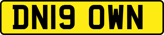 DN19OWN