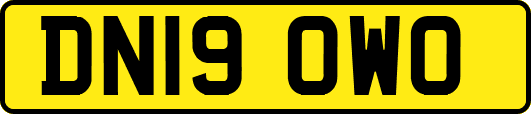 DN19OWO
