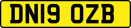 DN19OZB