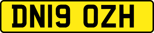 DN19OZH