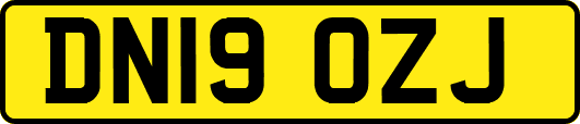 DN19OZJ
