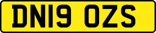 DN19OZS