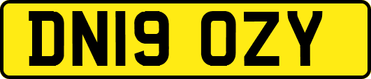 DN19OZY