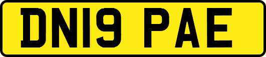 DN19PAE