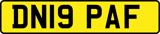 DN19PAF