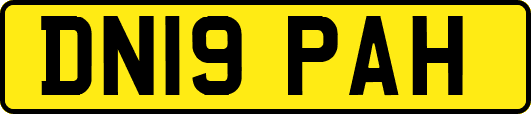 DN19PAH