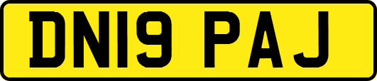 DN19PAJ