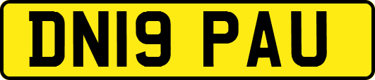 DN19PAU