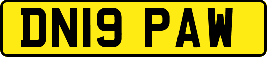 DN19PAW