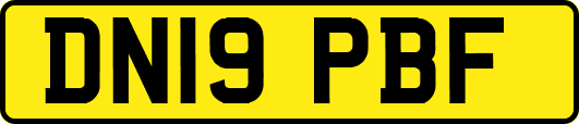 DN19PBF