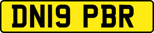 DN19PBR