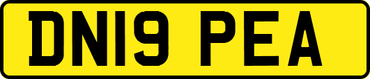 DN19PEA